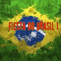 Fiesta do brasil